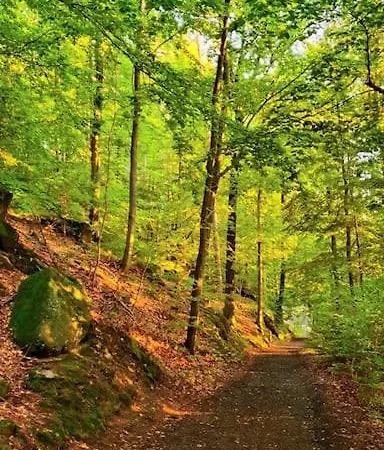 Apartamento Zlaty V Soukromi Mala Skala Cesky Raj