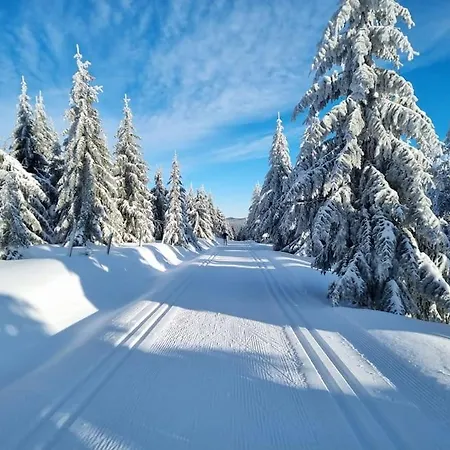 Zlaty V Soukromi Mala Skala Cesky Raj شقة