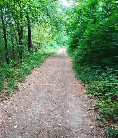 Zlaty V Soukromi Mala Skala Cesky Raj Koberovy