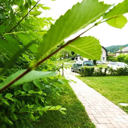 Zlaty V Soukromi Mala Skala Cesky Raj Koberovy