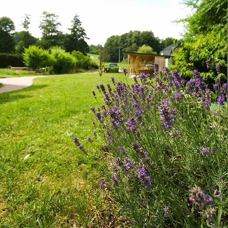 شقة Zlaty V Soukromi Mala Skala Cesky Raj